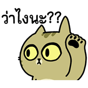 【泰文版】Sinko the Cat: Speakin" Taiwanese
